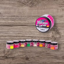 Spiinx Spıınx Larva 35MM 14P Peynir Cheese 05