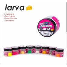 Spiinx Spıınx Larva 35MM 14P Peynir Janjan 41