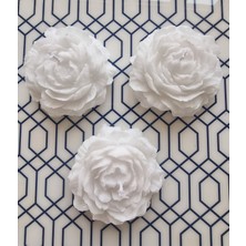 Bn.starlights 3 Lü Şakayık Mum