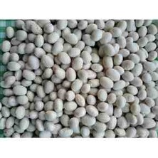 CBM Şekerfasulye 5kilo