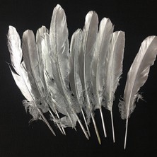 Oktay Sesal Decor Silver Bırd Feather 10 Adet Metalik Parlak Gümüş Kuş Tüyü  Gümüş Şeffaf Balon Tüyü Kostüm Tüyü