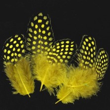 Oktay Sesal  Decor Yellow Bırd Feather 50 Adet Puantiyeli Sarı Siyah Kuş Tüyü Sarı Kuş Tüyü Şeffaf Balon Tüyü