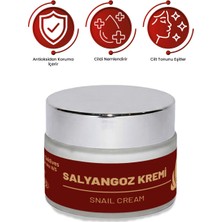 Saldives Salyangoz Özlü Yüz Kremi 50 ml • Doğal İçerikli Yüz Bakım Kremi • Günlük Cilt Bakımı • Cam Kavanoz