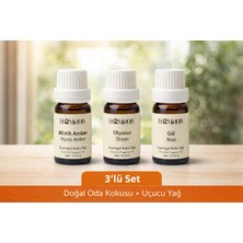 Uçucu Buhur Yağı Hava Nemlendiriciler Için Buhurdanlık Esansı Oda Kokusu 10 ml 3 Lü Set