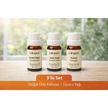 Uçucu Buhur Yağı Hava Nemlendiriciler Için Buhurdanlık Esansı Oda Kokusu 10 ml 3 Lü Set