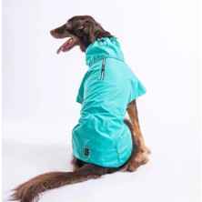 Pawstar Mint Colombia Yağmurluk