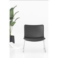 Bürotime Nova Bekleme Koltuğu, Kızak Ayak & Antrasit