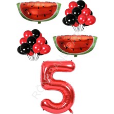 Rönesans Parti Kırmızı Karpuz Temalı Doğum Günü Parti Seti Yaş-5