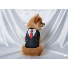Patipin Karizmatik Serisi Köpek Smokin - Özel Günler Için Siyah Ceketli ve Kravatlı Takım