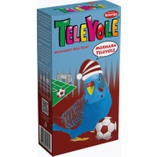 Bird Food Energy Televole Muhabbet Kuşu Yemi/TS - 300 g