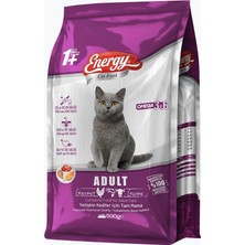 Pet Food Energy Gurme Yetişkin Kedi Maması - 500 g