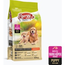 Pet Food Energy Dog Food Energy Kuzu Etli Yavru Köpek Maması-15 Kilogram