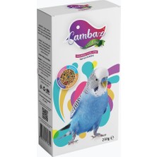 Bird Food Energy Cambaz Muhabbet Kuşu Yemi - 250 g