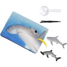 NW NessiWorld NAT07002 Köpek Balığı Bulma Kiti - Trhamshdıg +6 Yaş