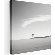 Popcas Dünyanın En Güzel Manzaraları - Yalnız Ağaç Kanvas Tablo - Çöl Manzarası Minimalist Fotoğraf - Dünyanın En Güzel Manzaraları