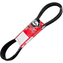 Opel Astra K 1.4 Alternatör V Kayışı Gates Marka