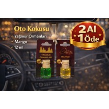 Oto Kokusu Ip Askılı Araç Kokusu Uzun Süre Kalıcı 12 ml