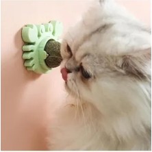 Akinco Yengeç Kedi Otu Oyun Topu