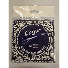 Karin Çöğür Bağlama Teli Set