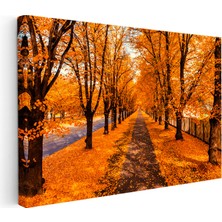 Kanvas Tablo Dökülen Yapraklar ve Park Yolu Manzara Tablosu Ev Ofis Duvar Dekoru