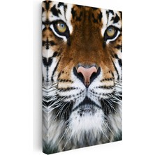 Kanvas Tablo Simetrik Yüz Detay Kaplan Tablosu Ev Ofis Duvar Dekoru