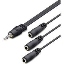 Skygo 3.5 mm To 3*3.5 mm F Kablo 2lıne 30CM Siyah HDX1023