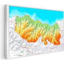 Kanvas Tablo Trabzon Coğrafi Yapı Harita Tablosu Ev Ofis Duvar Dekoru