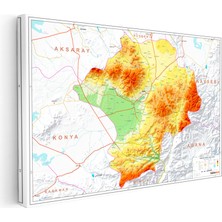 Kanvas Tablo Niğde Coğrafi Yapı Harita Tablosu Ev Ofis Duvar Dekoru