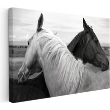 Kanvas Tablo Ikili Portre At Tablosu Ev Ofis Duvar Dekoru