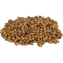 Mahlep Doğal Tane 100 gr Paket