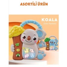 NW NessiWorld 8808-C Koalalı Piyano 8 Li Box -Cn