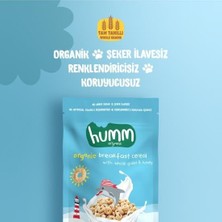 NW NessiWorld Humm Organik Tam Tahıllı ve Ballı Kahvaltılık Gevrek 80 gr