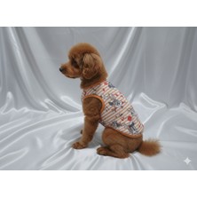 Patipin Pamuklu Esnek Dokulu Kedi Köpek Kıyafeti - Turuncu Çizgili Serisi