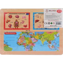 NW NessiWorld ONY-287 288 Ahşap Tutmalı Vücumuzu Tanıyalım -