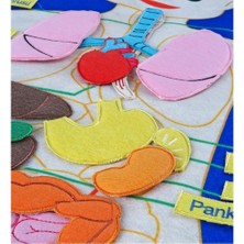 NW NessiWorld AND-5120 Cırtlı Vücudumuz Pano