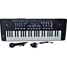 Flamex  Eccho Org Mikrofonlu 49 Tuşlu