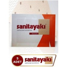 abnturk Mentollü Kapsikumlu Delikli Yakı Bandı 5 Adet 12X17CM