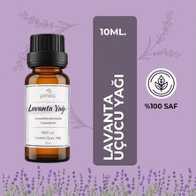 Pinea PİNEA Lavanta Uçucu Yağı %100 Saf ve Doğal 10 ml  Aromatetapi & Uykuya destek