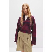 Allbucks Pull&bear Çizgili Polo Yaka Sweatshırt ABPNB3783