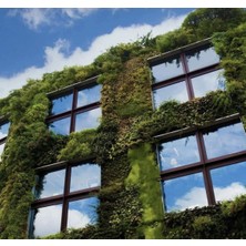 Packline Marketing Kendinden Yapışkanlı Çizilmez Aynalı Cam Filmi 100CM x 3metre