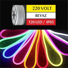 Noas Amber Renk 220 Volt Neon LED Hortum 8 Watt 120 LED 1 Metre