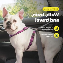 MarkEntegra 3'ü 1 Arada Köpek Koşum Takımı S Beden