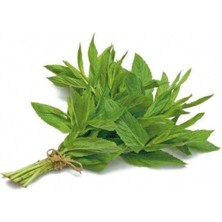 MarkEntegra Nane Tohumu - 3 Gram