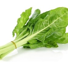 MarkEntegra Sarmalık Pazı Tohumu - 10 Gram