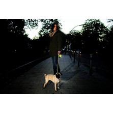 MarkEntegra Neon Renkli M Beden 5 Metre Şerit Tasma