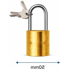 MarkEntegra 50 mm Pirinç Gövdeli Anahtarlı Asma Kilit - Sertleştirilmiş Çelik Kancalı, Dayanıklı Güvenlik