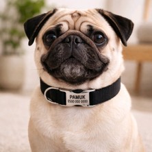Ayz Markalama Metal Kilitli Küçük Irk Köpekler Için Tasma, Isimli Köpek Tasması, Kişiye Özel Köpek Boyun Tasması