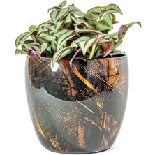 MarkEntegra Dayanıklı Siyah Metal Saksı - 17X15 cm