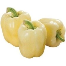 MarkEntegra Beyaz Dolmalık Biber Tohumu - 3 Gram