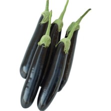 MarkEntegra Aydın Siyah Patlıcan Tohumu - 5 Gram